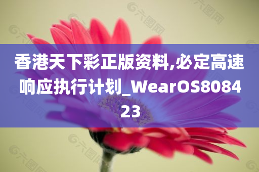 香港天下彩正版资料,必定高速响应执行计划_WearOS808423