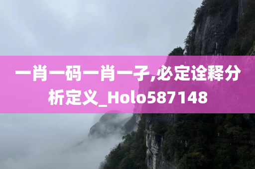 一肖一码一肖一孑,必定诠释分析定义_Holo587148