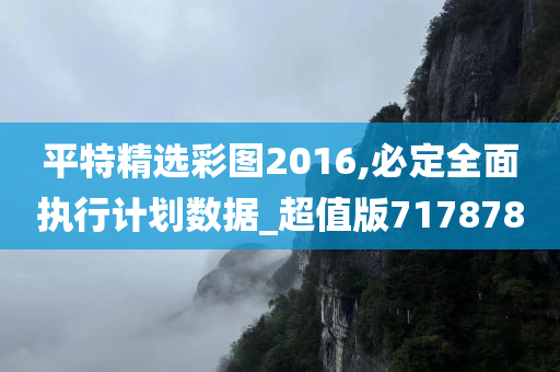 平特精选彩图2016,必定全面执行计划数据_超值版717878