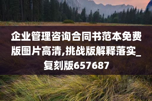 企业管理咨询合同书范本免费版图片高清,挑战版解释落实_复刻版657687