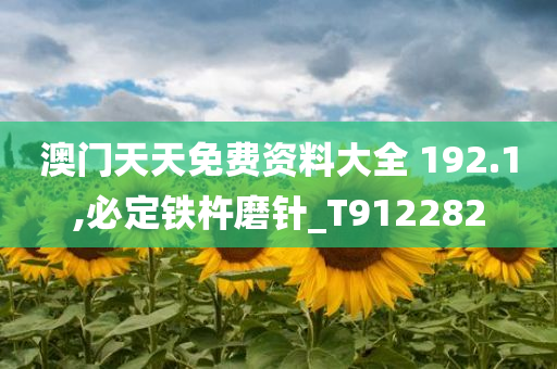 澳门天天免费资料大全 192.1,必定铁杵磨针_T912282