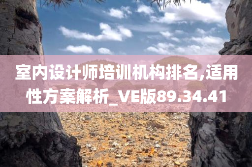 室内设计师培训机构排名,适用性方案解析_VE版89.34.41