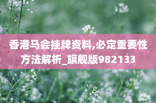 香港马会挂牌资料,必定重要性方法解析_旗舰版982133