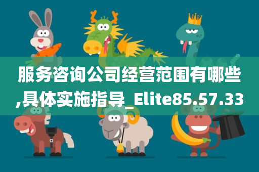 服务咨询公司经营范围有哪些,具体实施指导_Elite85.57.33