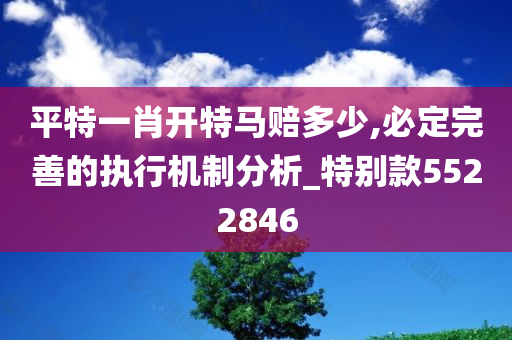 平特一肖开特马赔多少,必定完善的执行机制分析_特别款5522846