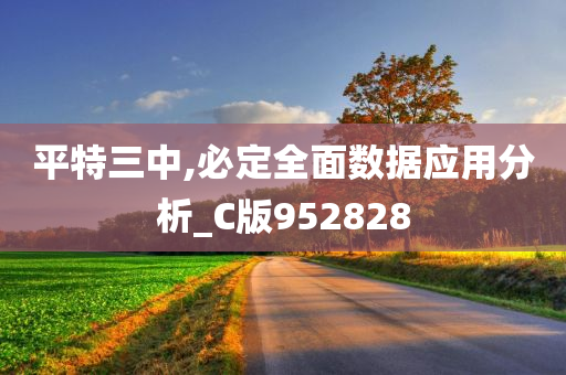 平特三中,必定全面数据应用分析_C版952828