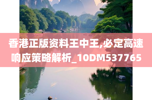 香港正版资料王中王,必定高速响应策略解析_10DM537765