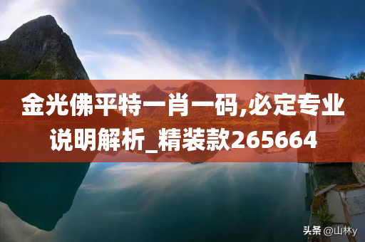 金光佛平特一肖一码,必定专业说明解析_精装款265664