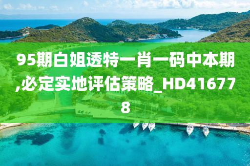 95期白姐透特一肖一码中本期,必定实地评估策略_HD416778