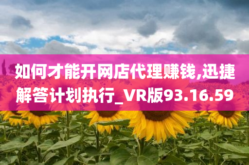 如何才能开网店代理赚钱,迅捷解答计划执行_VR版93.16.59