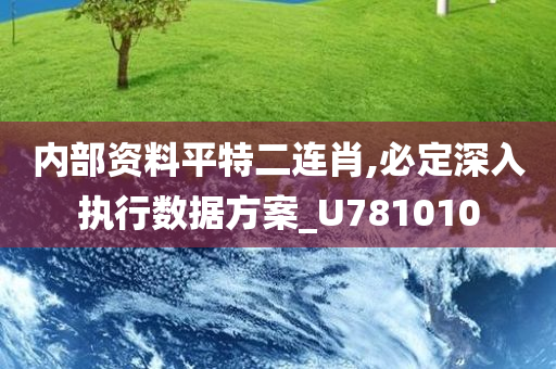 内部资料平特二连肖,必定深入执行数据方案_U781010