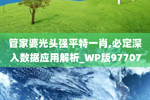 管家婆光头强平特一肖,必定深入数据应用解析_WP版977070