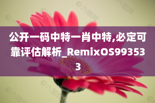 公开一码中特一肖中特,必定可靠评估解析_RemixOS993533