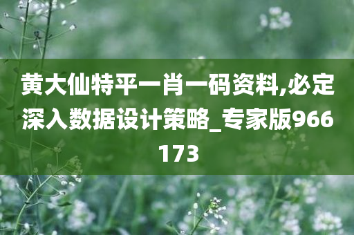 黄大仙特平一肖一码资料,必定深入数据设计策略_专家版966173