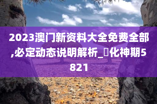 2023澳门新资料大全免费全部,必定动态说明解析_‌化神期5821