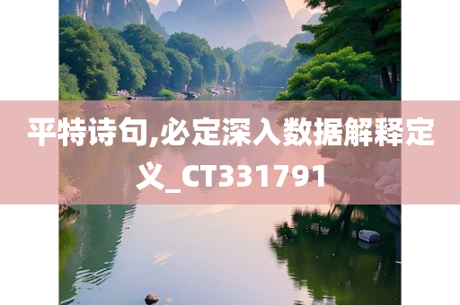 平特诗句,必定深入数据解释定义_CT331791