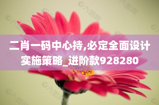 二肖一码中心持,必定全面设计实施策略_进阶款928280