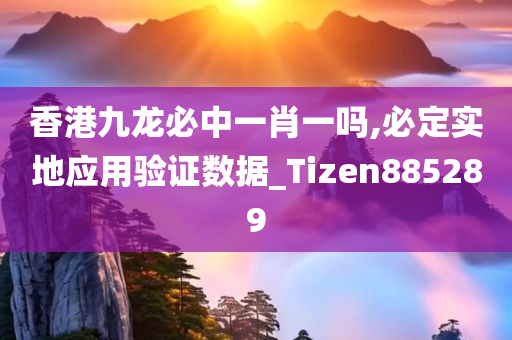 香港九龙必中一肖一吗,必定实地应用验证数据_Tizen885289