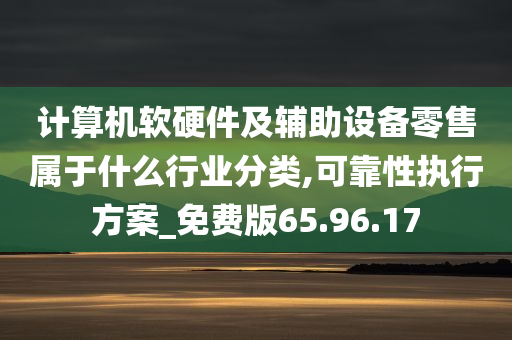 计算机软硬件及辅助设备零售属于什么行业分类,可靠性执行方案_免费版65.96.17