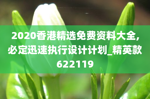 2020香港精选免费资料大全,必定迅速执行设计计划_精英款622119