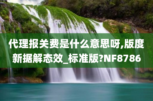 代理报关费是什么意思呀,版度新据解态效_标准版?NF8786