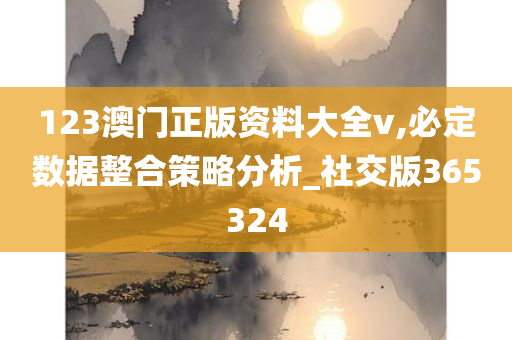 123澳门正版资料大全v,必定数据整合策略分析_社交版365324