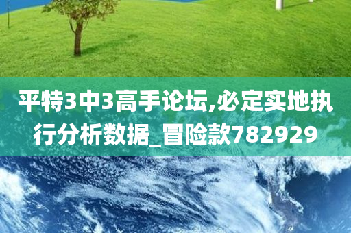 平特3中3高手论坛,必定实地执行分析数据_冒险款782929