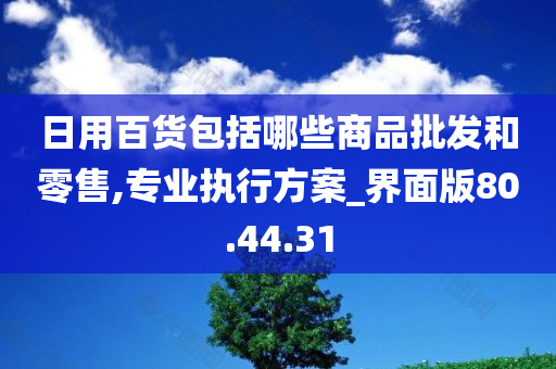 日用百货包括哪些商品批发和零售,专业执行方案_界面版80.44.31