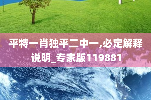 平特一肖独平二中一,必定解释说明_专家版119881