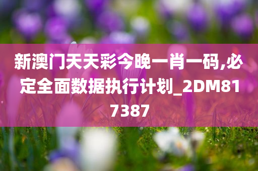 新澳门天天彩今晚一肖一码,必定全面数据执行计划_2DM817387