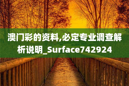 澳门彩的资料,必定专业调查解析说明_Surface742924