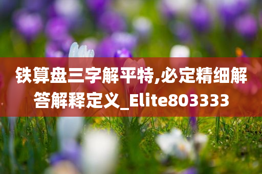 铁算盘三字解平特,必定精细解答解释定义_Elite803333