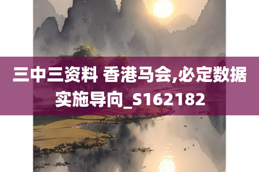 三中三资料 香港马会,必定数据实施导向_S162182