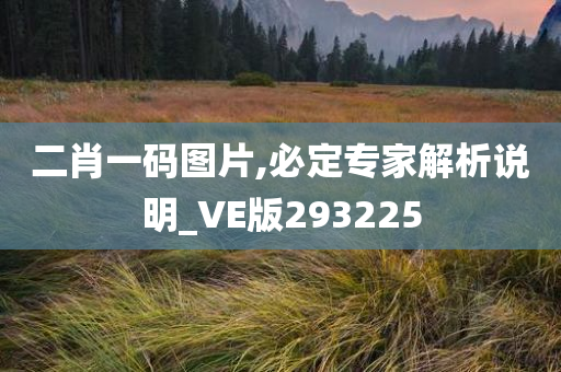 二肖一码图片,必定专家解析说明_VE版293225