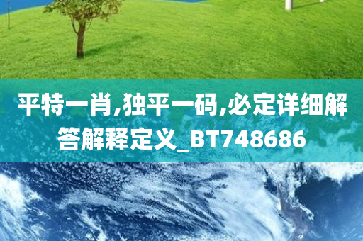 平特一肖,独平一码,必定详细解答解释定义_BT748686