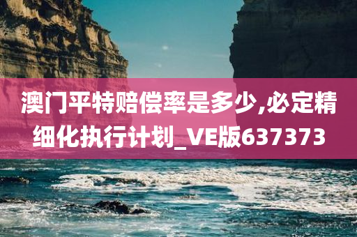 澳门平特赔偿率是多少,必定精细化执行计划_VE版637373