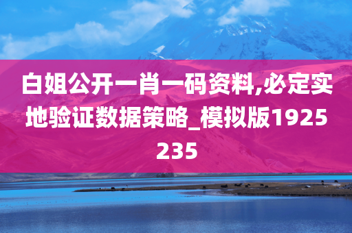 白姐公开一肖一码资料,必定实地验证数据策略_模拟版1925235