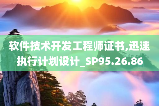 软件技术开发工程师证书,迅速执行计划设计_SP95.26.86