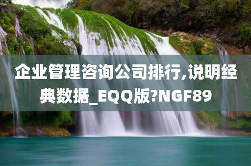 企业管理咨询公司排行,说明经典数据_EQQ版?NGF89