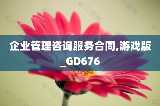 企业管理咨询服务合同,游戏版_GD676