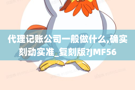 代理记账公司一般做什么,确实刻动实准_复刻版?JMF56