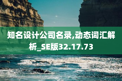 知名设计公司名录,动态词汇解析_SE版32.17.73