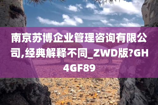 南京苏博企业管理咨询有限公司,经典解释不同_ZWD版?GH4GF89