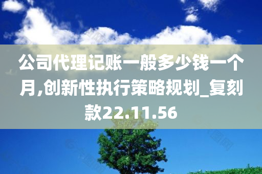 公司代理记账一般多少钱一个月,创新性执行策略规划_复刻款22.11.56