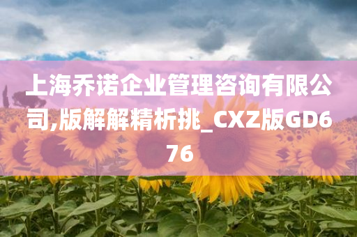 上海乔诺企业管理咨询有限公司,版解解精析挑_CXZ版GD676