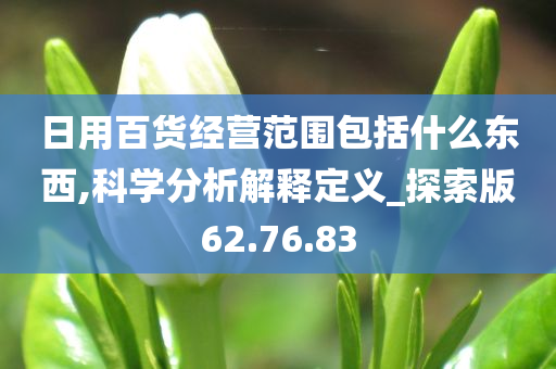 日用百货经营范围包括什么东西,科学分析解释定义_探索版62.76.83