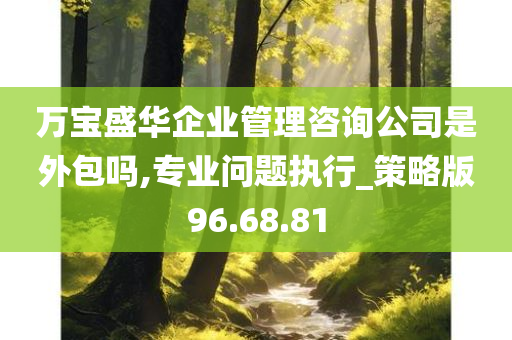 万宝盛华企业管理咨询公司是外包吗,专业问题执行_策略版96.68.81