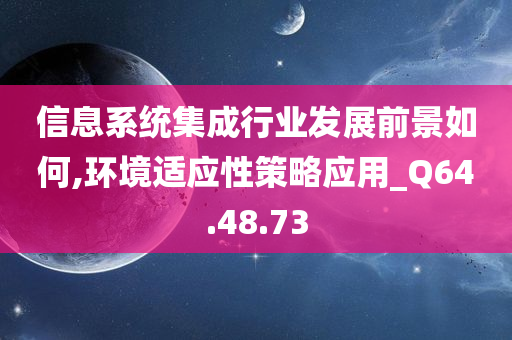 信息系统集成行业发展前景如何,环境适应性策略应用_Q64.48.73