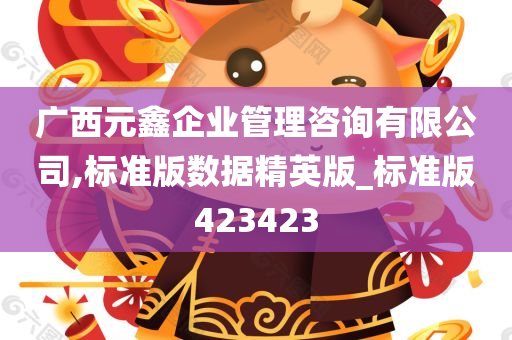 广西元鑫企业管理咨询有限公司,标准版数据精英版_标准版423423