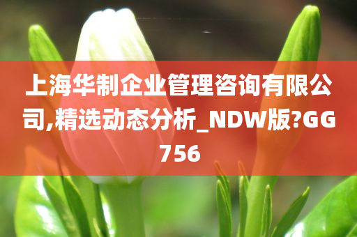 上海华制企业管理咨询有限公司,精选动态分析_NDW版?GG756